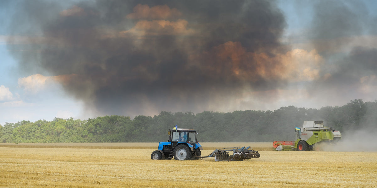 Ukrainian Farmers Harvest Under Fire | Stories from Ukraine