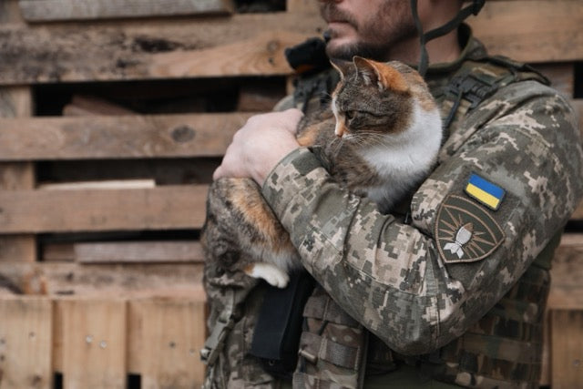 Stamps of Ukraine with furry friends