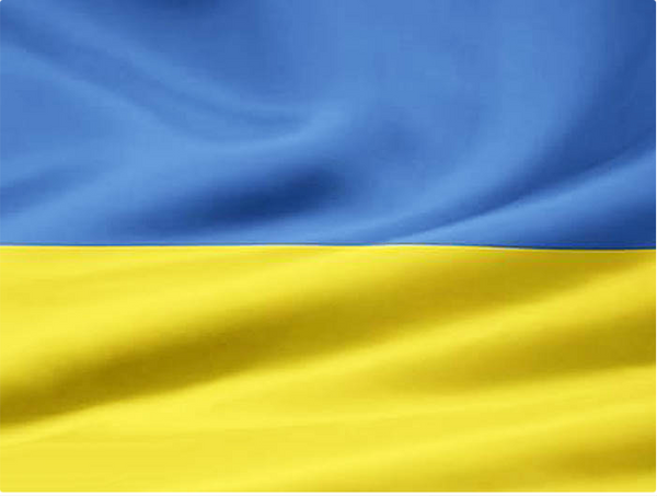 Ukrainian Flag Yellow and Light Blue 3’ x 4.4’